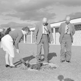 Retirement tree planting ceremony for long-serving staff member Miss E. A. Lilburne with P. G. Stevens and L. Morrison at Canterbury Agricultural College, December 1961