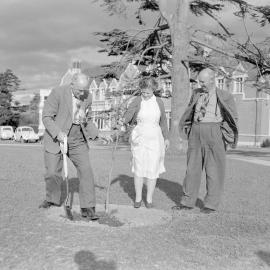 Memorial tree planting during staff retirement ceremony at Canterbury Agricultural College, December 1961. L. Morrison, E. A. Lilburne, and P. G. Stevens (Blackmore Neg5166)