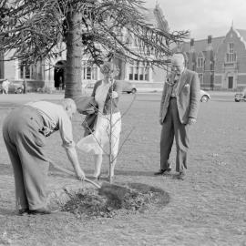 Memorial tree planting during staff retirement ceremony at Canterbury Agricultural College, December 1961. P. G. Stevens, E. A. Lilburne, and L. Morrison (Blackmore Neg5169)
