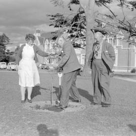 Memorial tree planting during staff retirement ceremony at Canterbury Agricultural College, December 1961. L. Morrison, E. A. Lilburne, and P. G. Stevens (Blackmore Neg5168)