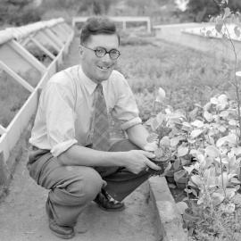 Horticulture lecturer J. H. Glazebrook c1960 (Blackmore Neg 5179)
