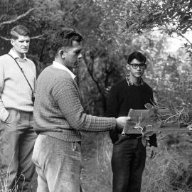Student research in agricultural zoology 1964 (Blackmore Negative 5182)
