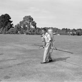 Manual field spraying on Lincoln College grounds (Blackmore Neg 5186)
