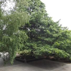 2012 Lincoln campus view  (1)