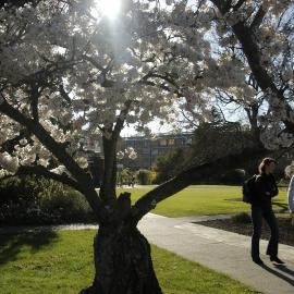 Lincoln Campus in Spring, 12 September 2006 (04)