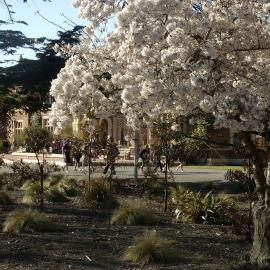 Lincoln Campus in Spring, 12 September 2006 (08)