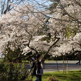 Lincoln Campus in Spring, 12 September 2006 (09)