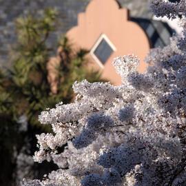 Lincoln Campus in Spring, 12 September 2006 (15)