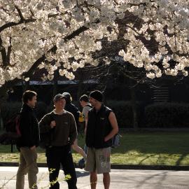 Lincoln Campus in Spring, 14 September 2006 (1)