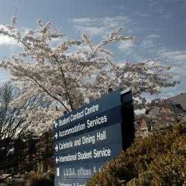 Lincoln Campus in Spring, 14 September 2006 (2)