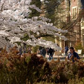 Lincoln Campus in Spring, 14 September 2006 (11)