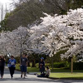 Lincoln Campus in Spring, 14 September 2006 (13)
