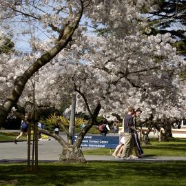 Lincoln Campus in Spring, 14 September 2006 (15)