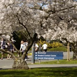 Lincoln Campus in Spring, 14 September 2006 (16)