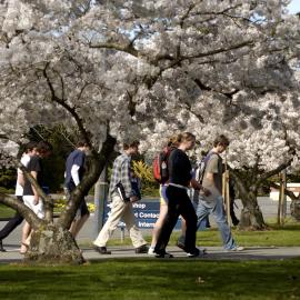 Lincoln Campus in Spring, 14 September 2006 (17)
