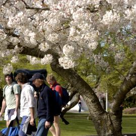 Lincoln Campus in Spring, 14 September 2006 (19)