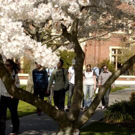 Lincoln Campus in Spring, 14 September 2006 (21)