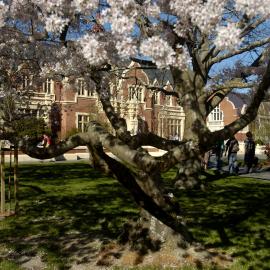 Lincoln Campus in Spring, 14 September 2006 (25)