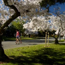 Lincoln Campus in Spring, 14 September 2006 (27)