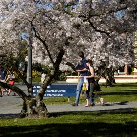 Lincoln Campus in Spring, 14 September 2006 (35)
