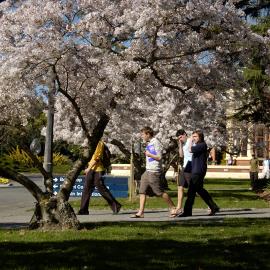 Lincoln Campus in Spring, 14 September 2006 (36)