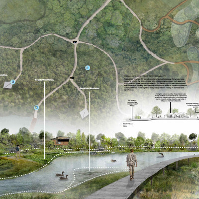 Restoring the Pit: The Natural, Cultural and Social Restoration of the New River Estuary