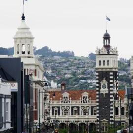 Morning, Dunedin