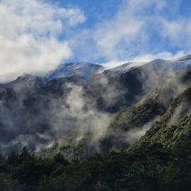 Misty morning in the South Branch of the Hurunui River