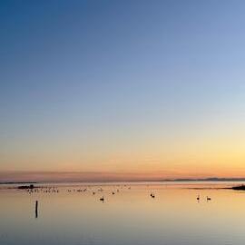 A calm evening scene at Lake Ellesmere