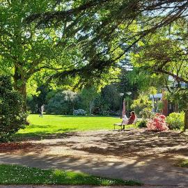 Studying al fresco - a rare calm day in Spring 2025 at the Forbes lawn