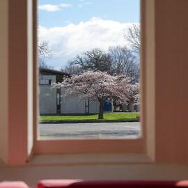 Spring Scent through Ivey Hall