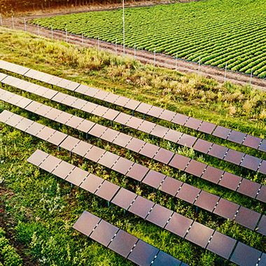 09 February 2026 Agrivoltaics research shows climate shapes success