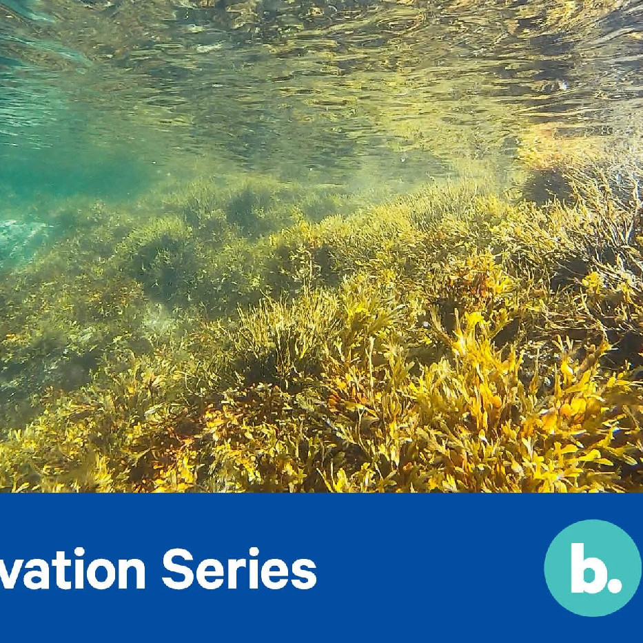 24 February 2022 
Is aquaculture the way forward?