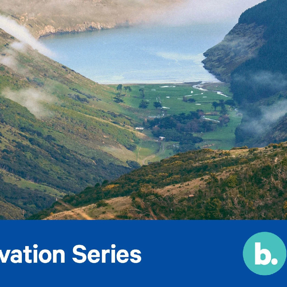 25 August 2022 
Planting on the Banks Peninsula