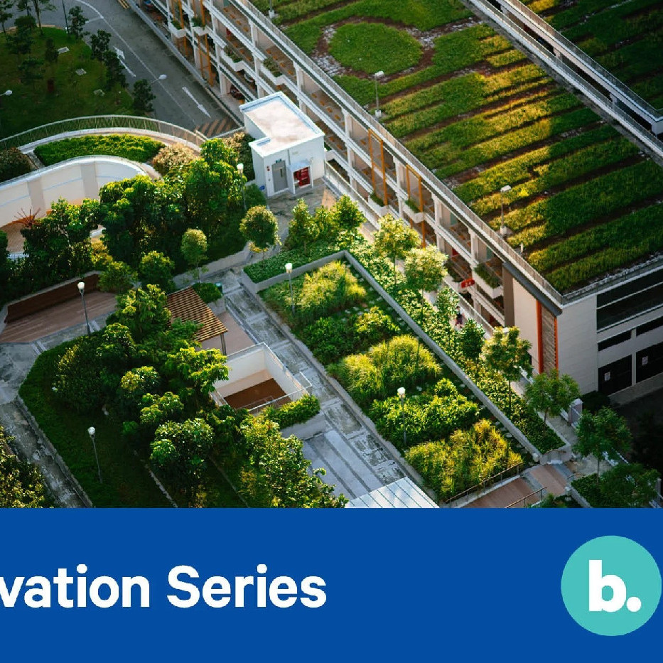 22 September 2022 
Embracing Urban Agriculture