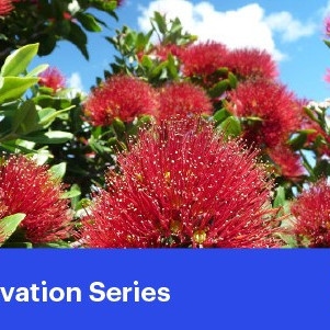 04 November 2025
Safeguarding the Future of Farming – Biosecurity at the Border and Beyond