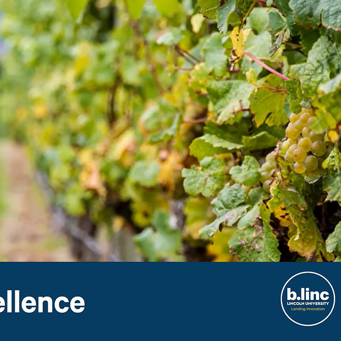 07 December 2023
Unravelling the plant pathobiome associated with plant health – know your enemy, embrace your friends