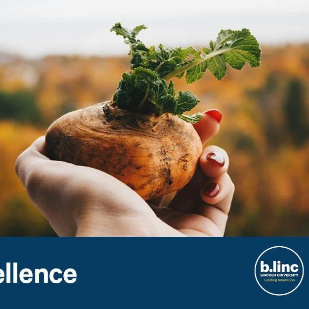 07 March 2024
Nourishing Resilience: Food Security and the New Zealand Food System