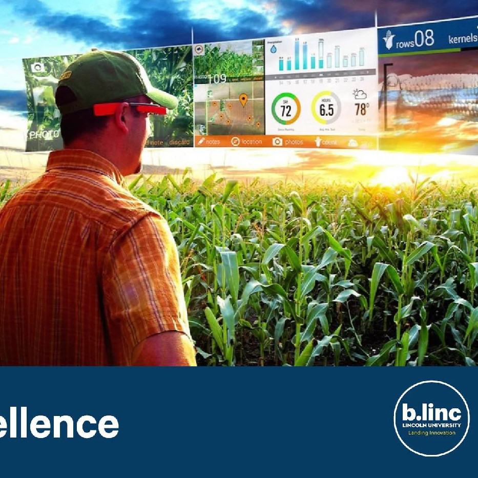 15 May 2024
Implementing farming systems for the future: which way now?