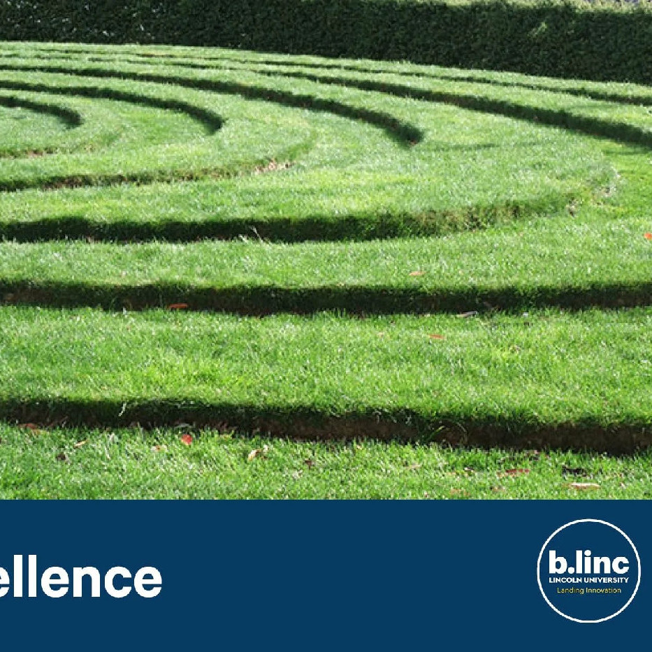 13 November 2024
Landscapes of Care: Navigating the Design of Memorials