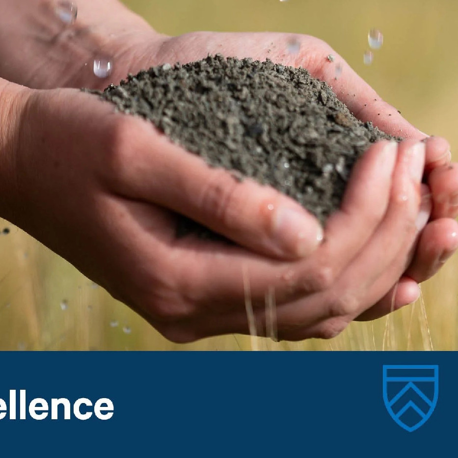 13 May 2025
Hacking silicate weathering for climate mitigation