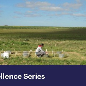 12 August 2025
Understanding Reactive Nitrogen: Implications for Agriculture, Environment and Climate