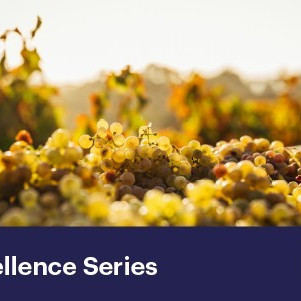 09 September 2025
How will climate change shape the future of wine?