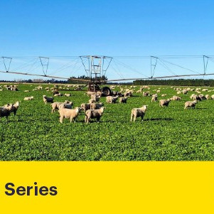 19 February 2026
Navigating New Currents: Freshwater Science and Policy in Action - as part of Return to Campus Week