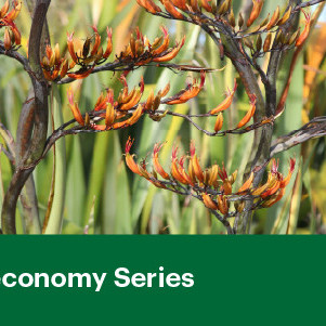 30 April 2026
Shaping the Future: Indigenous Perspectives in the Bioeconomy