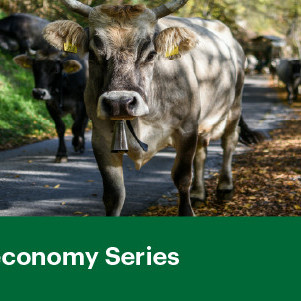 13 May 2026
Reducing Nitrous Oxide: Science and Solutions for a Low-Emissions Future