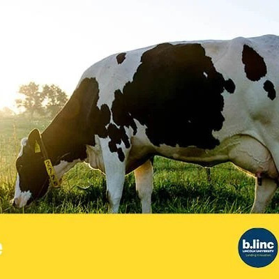 15 August 2023
Future Dairy Living Lab