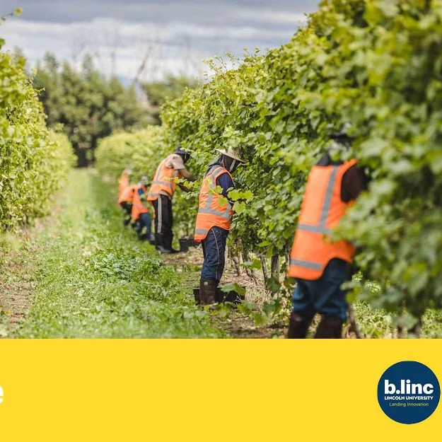 23 April 2024
The Future of NZ's Agricultural Workforce