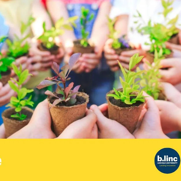 20 August 2024
Lincoln Envirotown: Cultivating a Sustainable Future Together