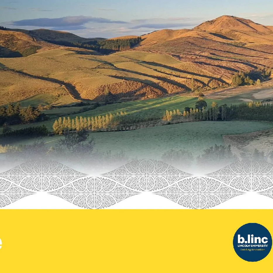 24 July 2024
Waikirikiri Ki Tua Future Selwyn